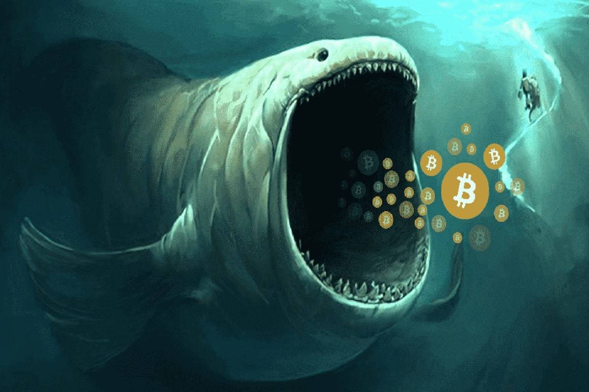 BTC鲸鱼增持是否导致比特币价格飙升<strong></p>
<p>全球比特币价格</strong>？