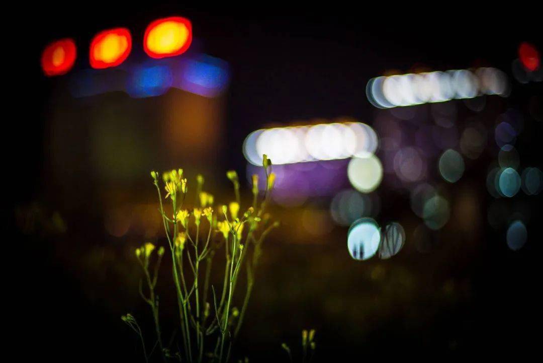 毕业季 | 我们的那些光华之夜<strong></p>
<p>光华币</strong>，光华之夏