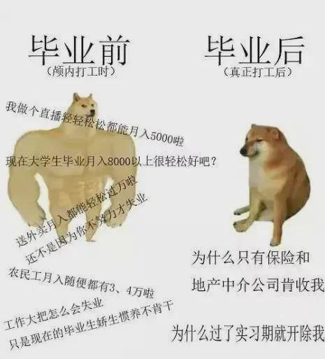 别被《摩尔庄园》骗<strong></p>
<p>摩尔币</strong>了