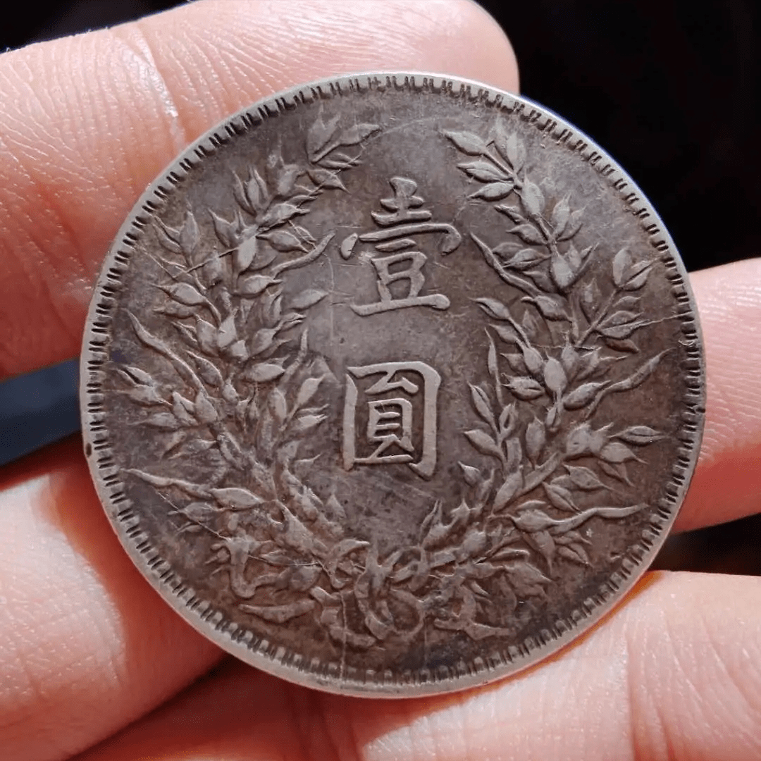 国币袁大头的前世今生之<strong></p>
<p>各国币</strong>，全国统一币制