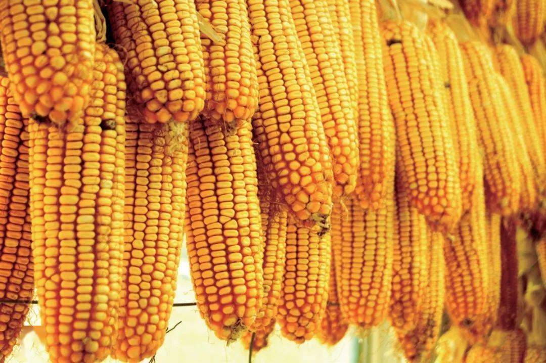 了解点、线、面<strong></p>
<p>币百通</strong>，构图一通百通！