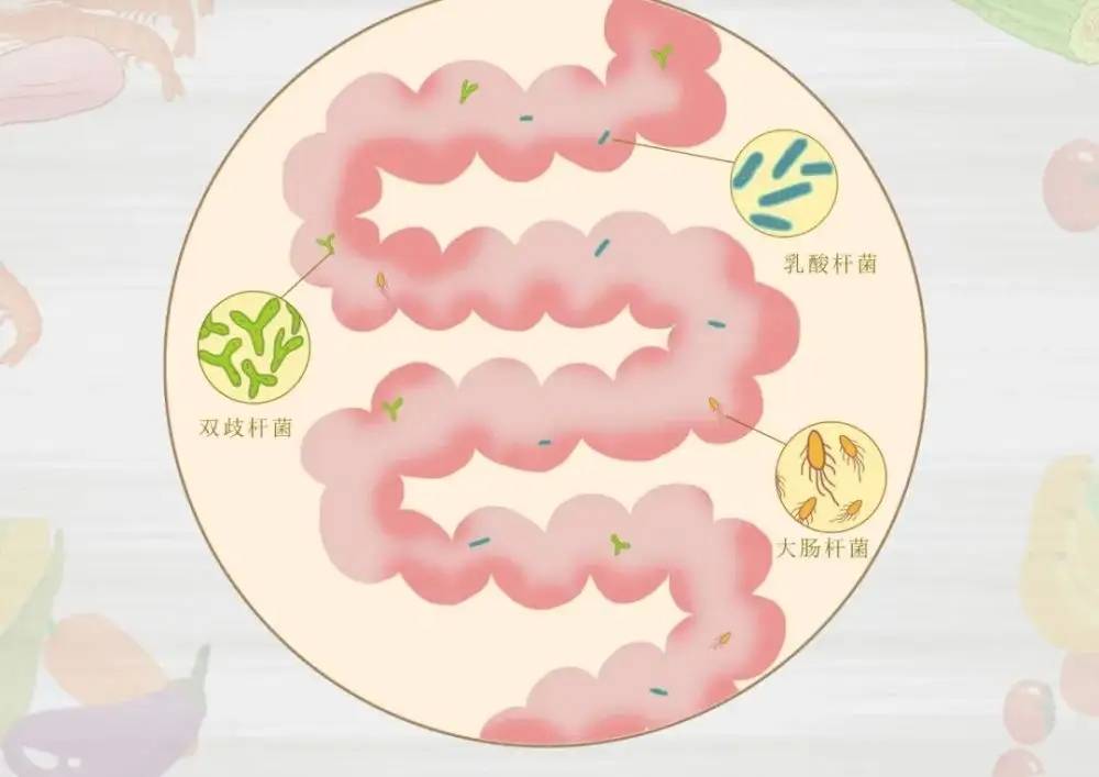 火箭版金百通益生元与<strong></p>
<p>币百通</strong>你一同守护全家健康