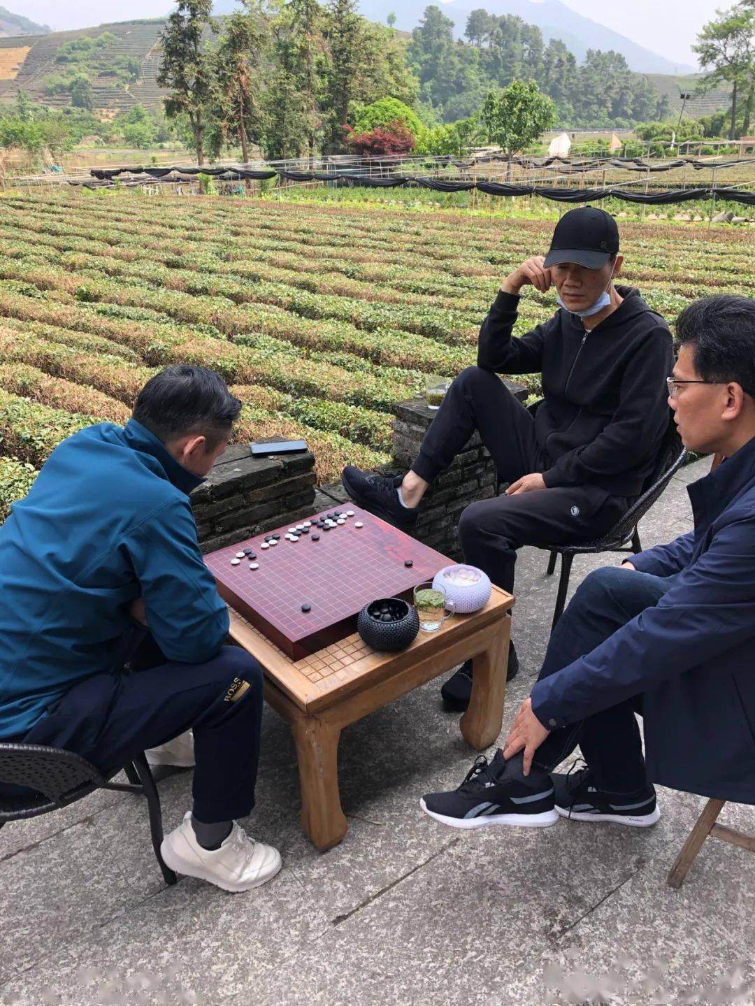 春山是茶棋友会