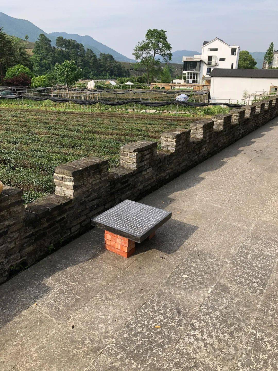 春山是茶棋友会