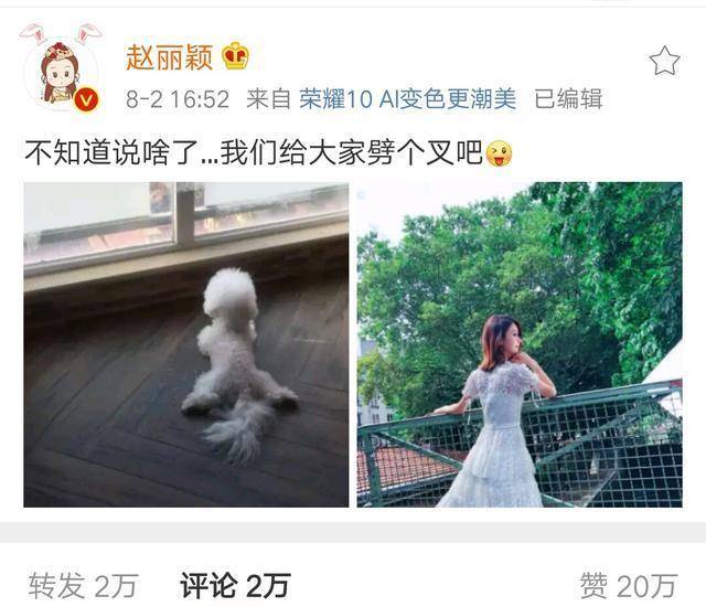 赵丽颖发博<strong></p>
<p>币乐网</strong>，配图逗乐网友