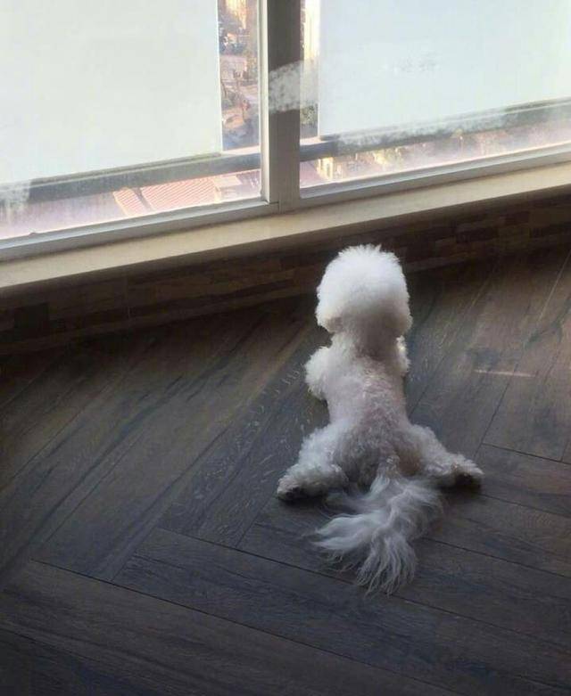 赵丽颖发博<strong></p>
<p>币乐网</strong>，配图逗乐网友