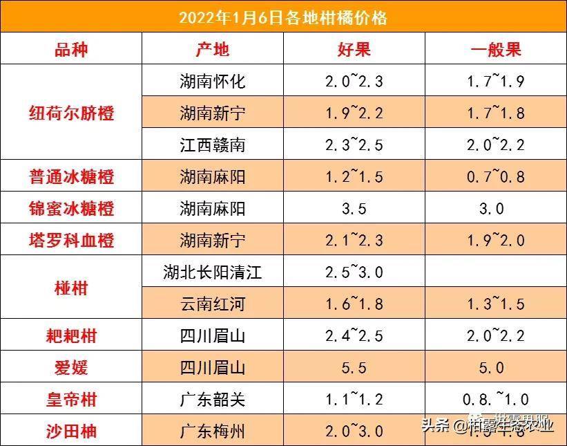 2022年1月6日全国柑橘价格大爆料