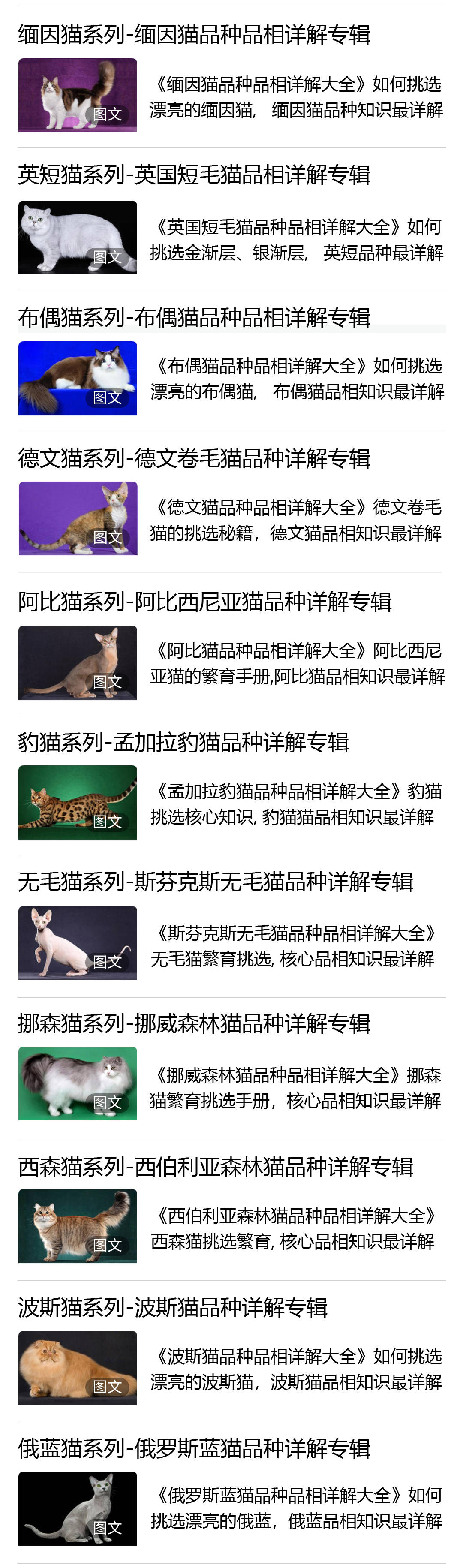 一只缅因猫幼崽多少钱<strong></p>
<p>黄金一钱多少钱</strong>？红虎缅因猫多少钱一只？虎斑缅因猫多少钱一只？