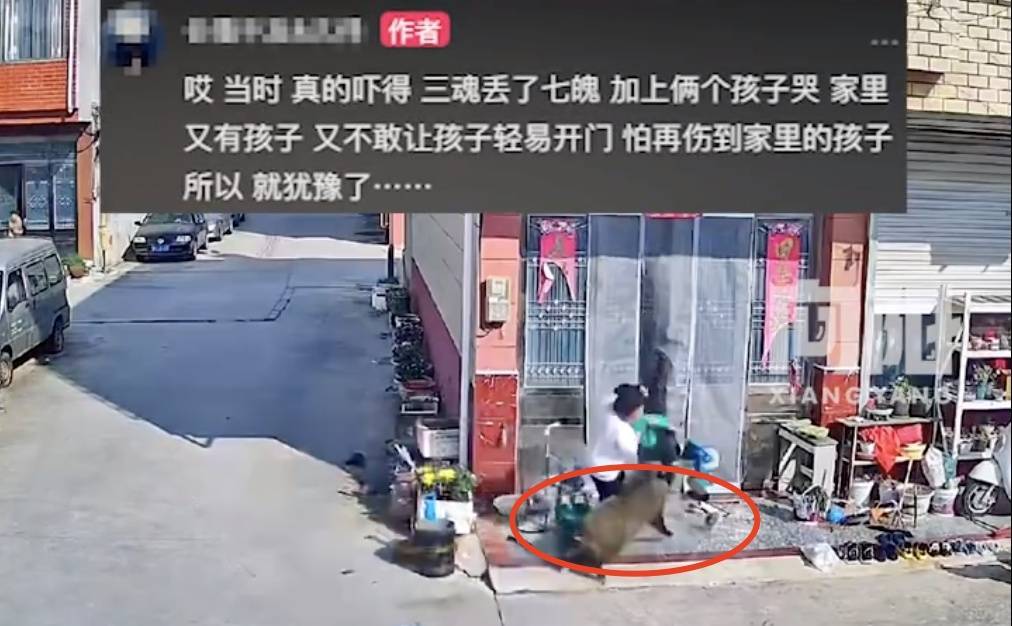 不是上海<strong></p>
<p>理财活动</strong>！不是上海！不是上海！最新：已被特警击毙