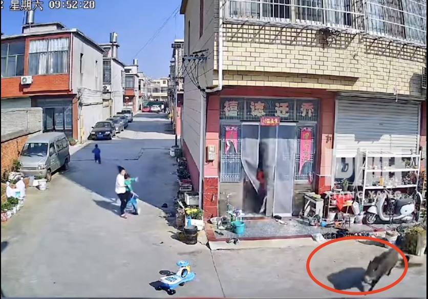 不是上海<strong></p>
<p>理财活动</strong>！不是上海！不是上海！最新：已被特警击毙