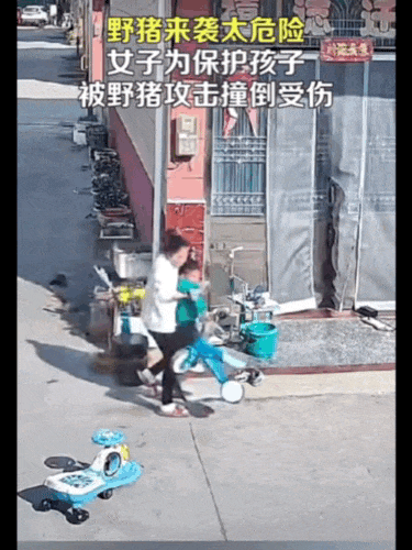 不是上海<strong></p>
<p>理财活动</strong>！不是上海！不是上海！最新：已被特警击毙