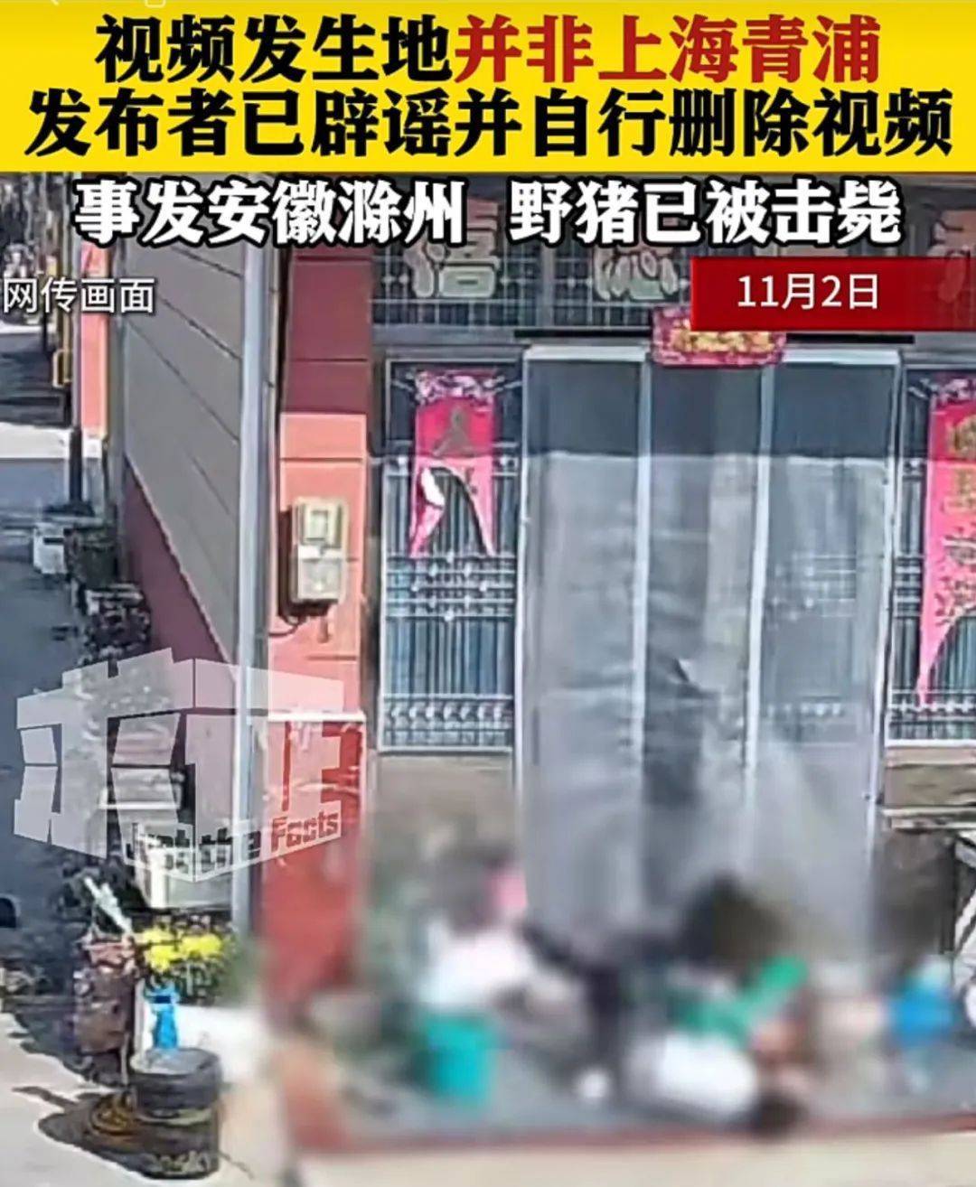 不是上海<strong></p>
<p>理财活动</strong>！不是上海！不是上海！最新：已被特警击毙