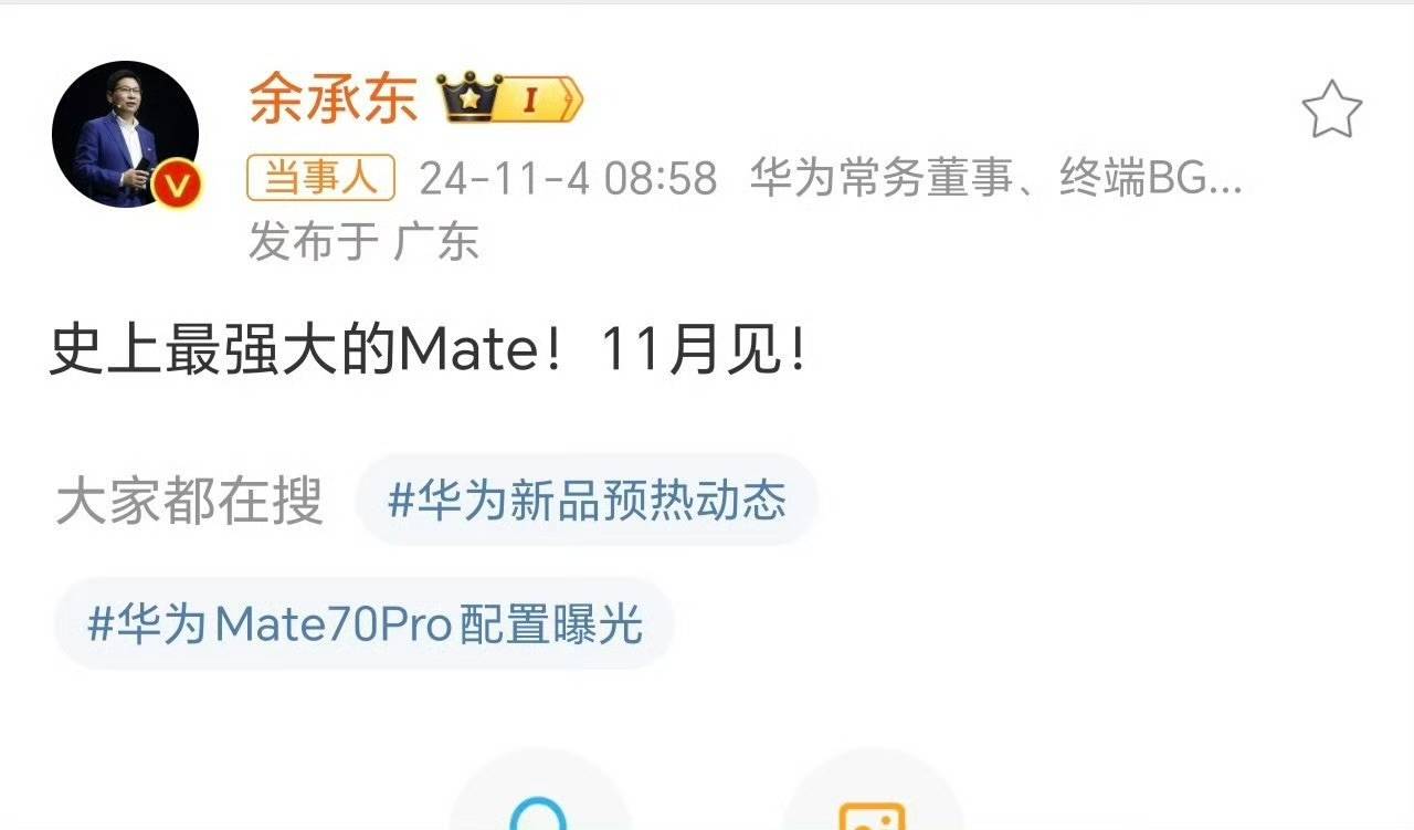 华为Mate 70官方图曝光？标注售价8599<strong></p>
<p>理财活动</strong>，网友：这价格有点假了