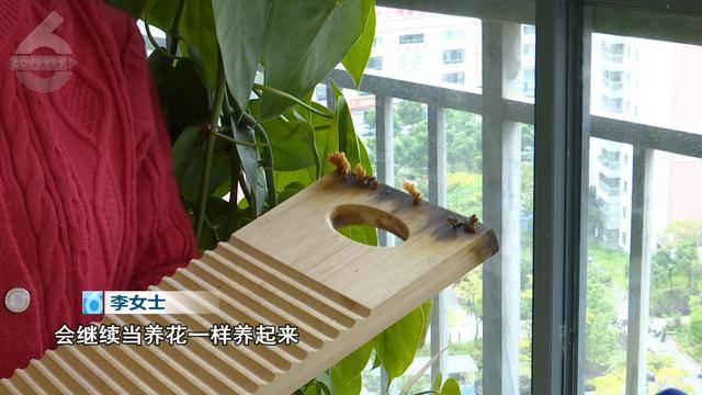 “可以蒸蛋”！昆明一女子家中搓衣板上长菌<strong></p>
<p>净值型理财</strong>，品种竟是……