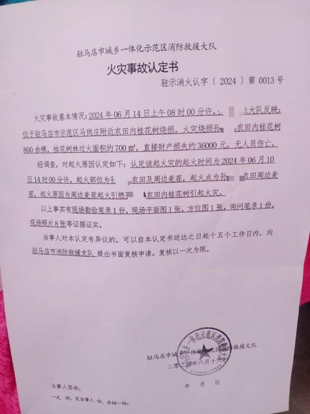 群众近千棵桂花树被烧死<strong></p>
<p>理财外汇</strong>，为何不立案？驻马店回应