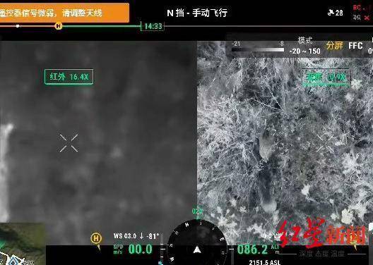 揭秘“野猪猎捕队”丨海拔3000米高山密林<strong></p>
<p>理财官网</strong>，记者跟队直击猎捕野猪全过程
