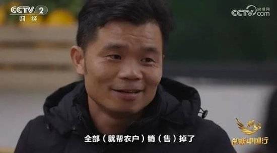 2024年末央视再度专访钟睒睒<strong></p>
<p>怎么理财基金</strong>，背后有何深意？