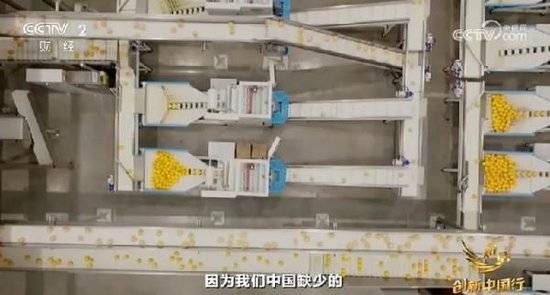 2024年末央视再度专访钟睒睒<strong></p>
<p>怎么理财基金</strong>，背后有何深意？