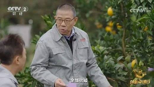 2024年末央视再度专访钟睒睒<strong></p>
<p>怎么理财基金</strong>，背后有何深意？