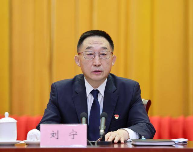 刘宁任河南省委书记<strong></p>
<p>理财存钱</strong>，楼阳生因年龄原因不再担任