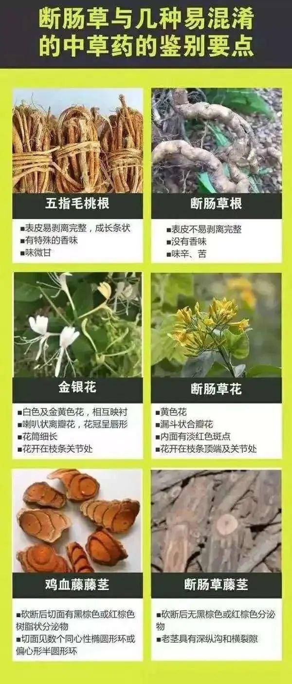 广东一老人买药材煲汤中毒身亡 当地：店铺误售断肠草<strong></p>
<p>债券理财</strong>，老板被拘留