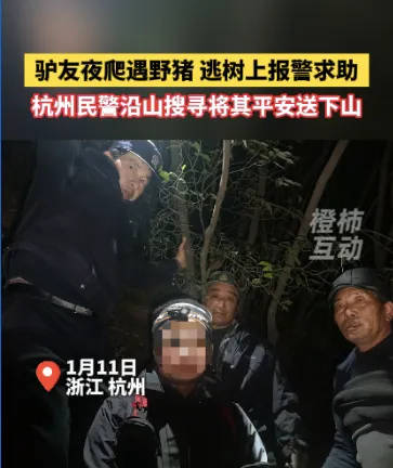 “我现在在树上<strong></p>
<p>记账理财</strong>，野猪在下面……”杭州一男子深夜报警！