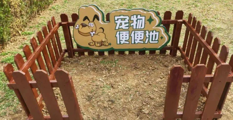 家门口成“狗公厕”<strong></p>
<p>10万理财</strong>，女子喷驱狗剂却被犬主告上法庭