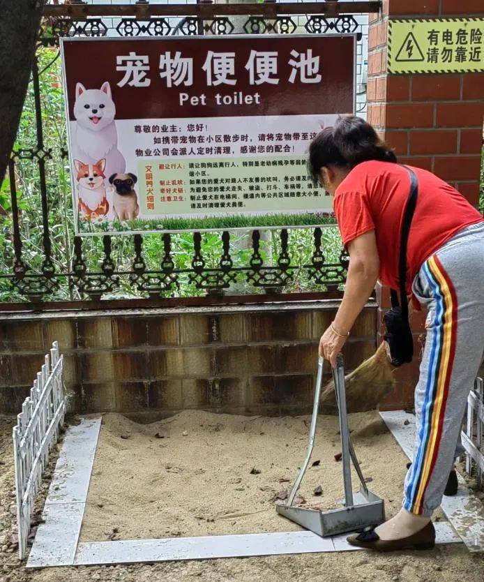 家门口成“狗公厕”<strong></p>
<p>10万理财</strong>，女子喷驱狗剂却被犬主告上法庭