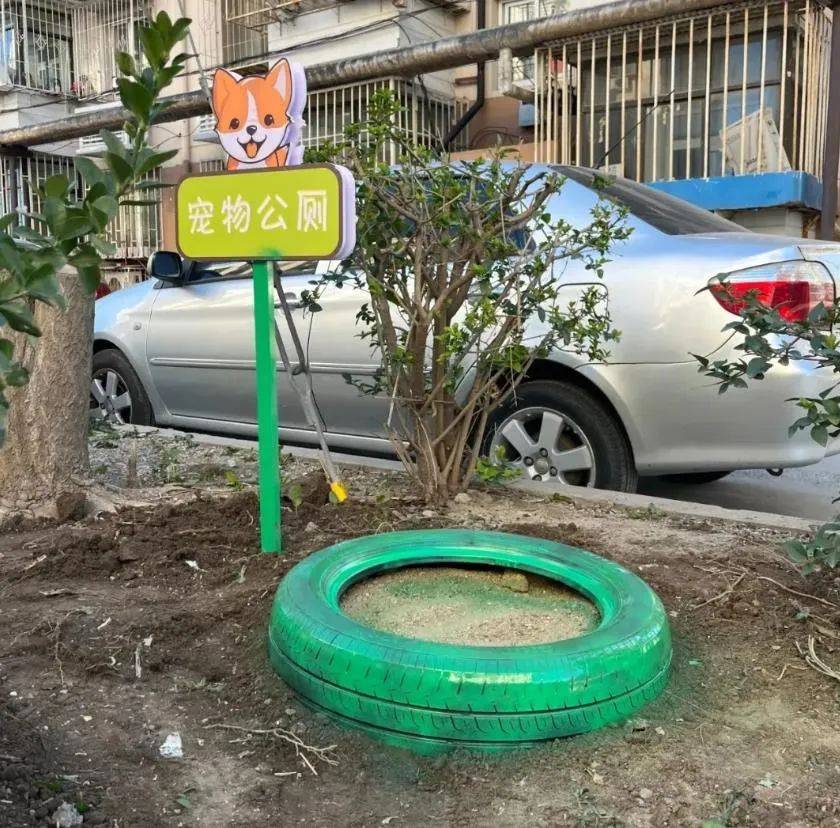 家门口成“狗公厕”<strong></p>
<p>10万理财</strong>，女子喷驱狗剂却被犬主告上法庭