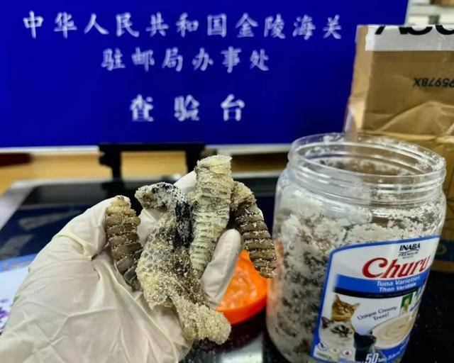 离谱！2.4斤生腌响尾蛇<strong></p>
<p>5万理财</strong>，被藏在零食罐里……