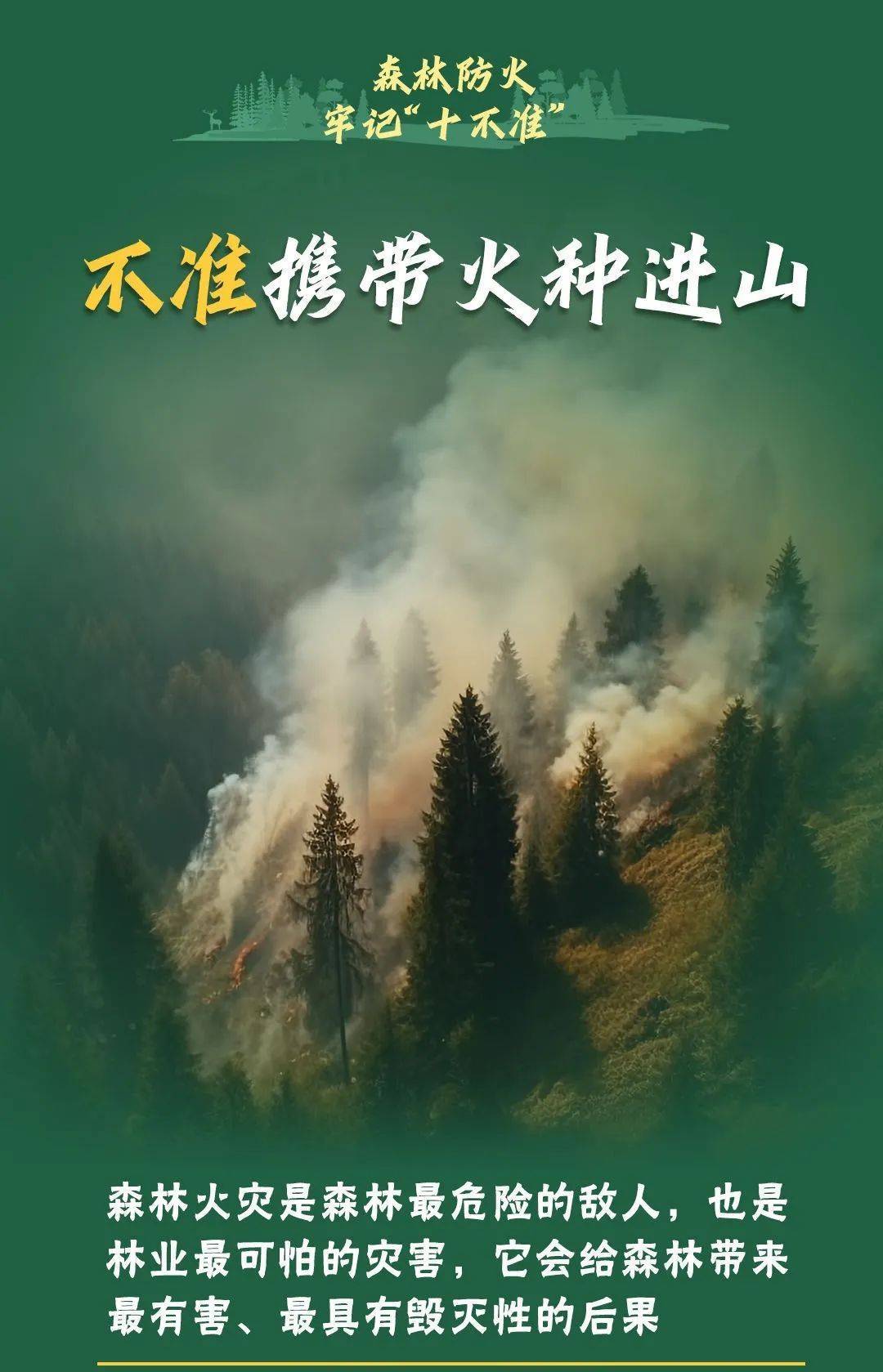 已致4名消防员遇难<strong></p>
<p>理财考试</strong>！多地进入“灾难状态”