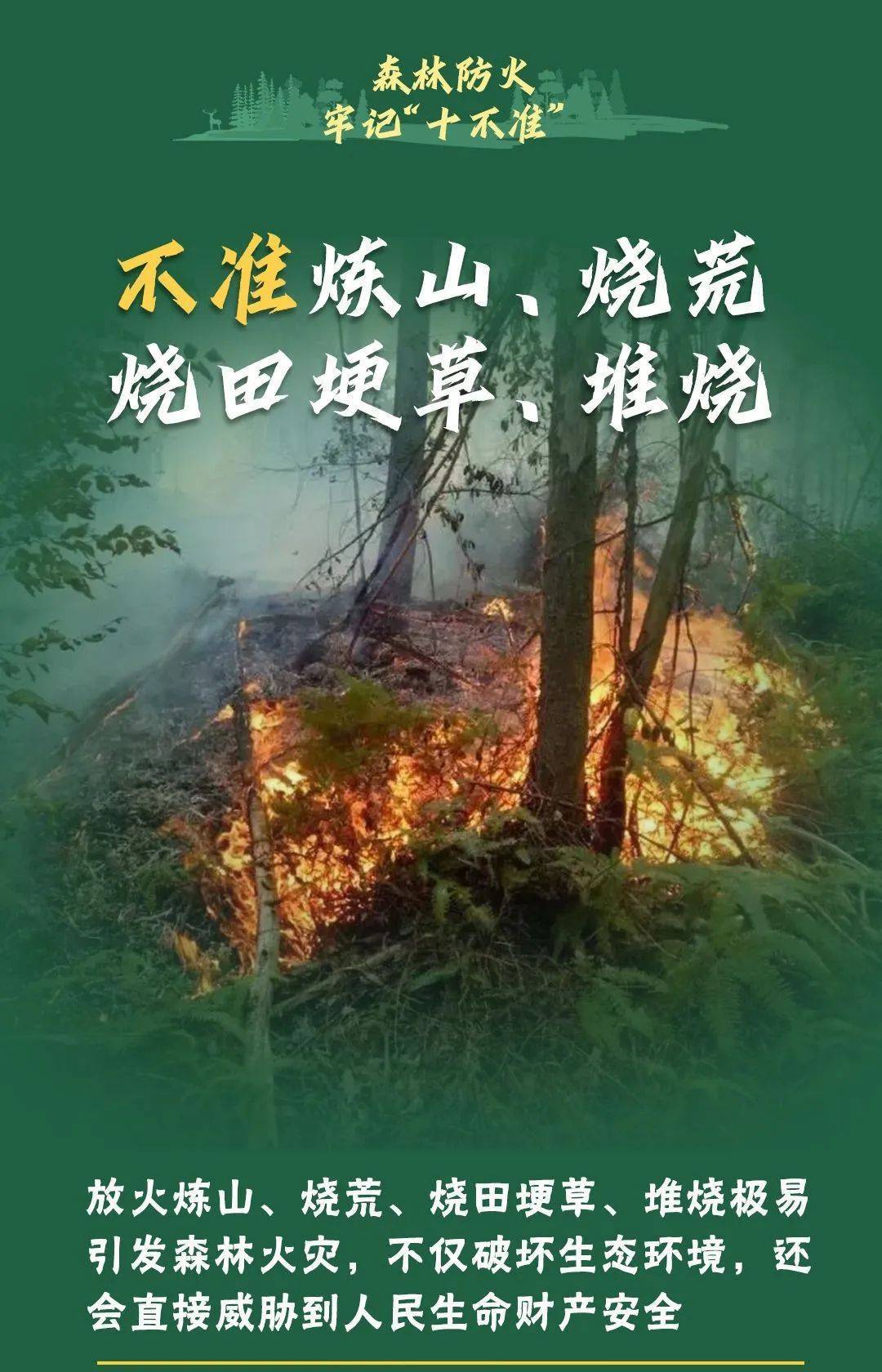 已致4名消防员遇难<strong></p>
<p>理财考试</strong>！多地进入“灾难状态”