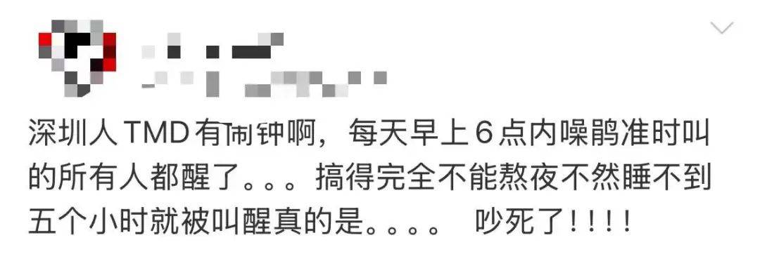 “周末想睡个懒觉都不行”<strong></p>
<p>理财怎么做</strong>，有多少深圳人被这种鸟吵到神经衰弱