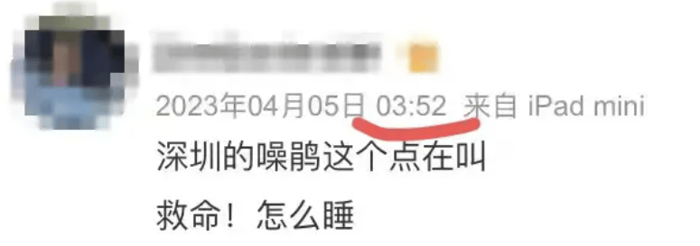 “周末想睡个懒觉都不行”<strong></p>
<p>理财怎么做</strong>，有多少深圳人被这种鸟吵到神经衰弱