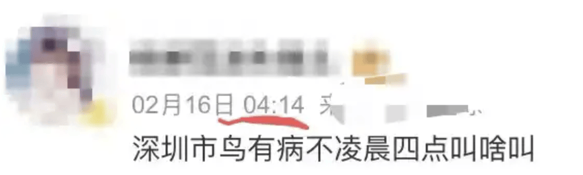 “周末想睡个懒觉都不行”<strong></p>
<p>理财怎么做</strong>，有多少深圳人被这种鸟吵到神经衰弱
