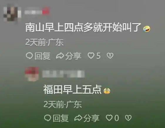 “周末想睡个懒觉都不行”<strong></p>
<p>理财怎么做</strong>，有多少深圳人被这种鸟吵到神经衰弱