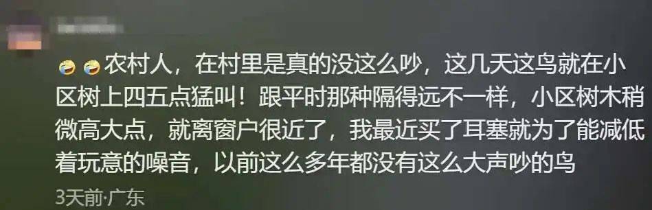 “周末想睡个懒觉都不行”<strong></p>
<p>理财怎么做</strong>，有多少深圳人被这种鸟吵到神经衰弱