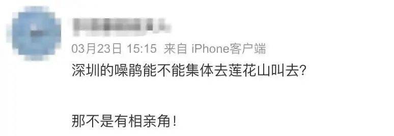 “周末想睡个懒觉都不行”<strong></p>
<p>理财怎么做</strong>，有多少深圳人被这种鸟吵到神经衰弱