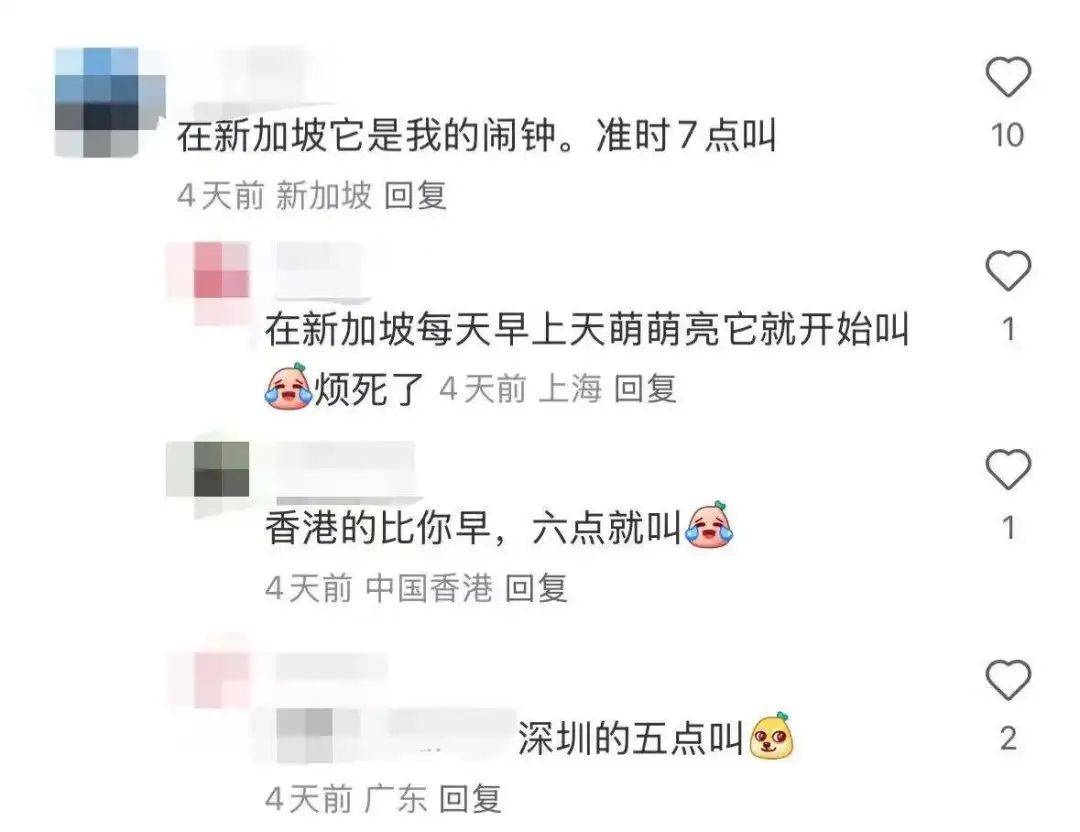 “周末想睡个懒觉都不行”<strong></p>
<p>理财怎么做</strong>，有多少深圳人被这种鸟吵到神经衰弱