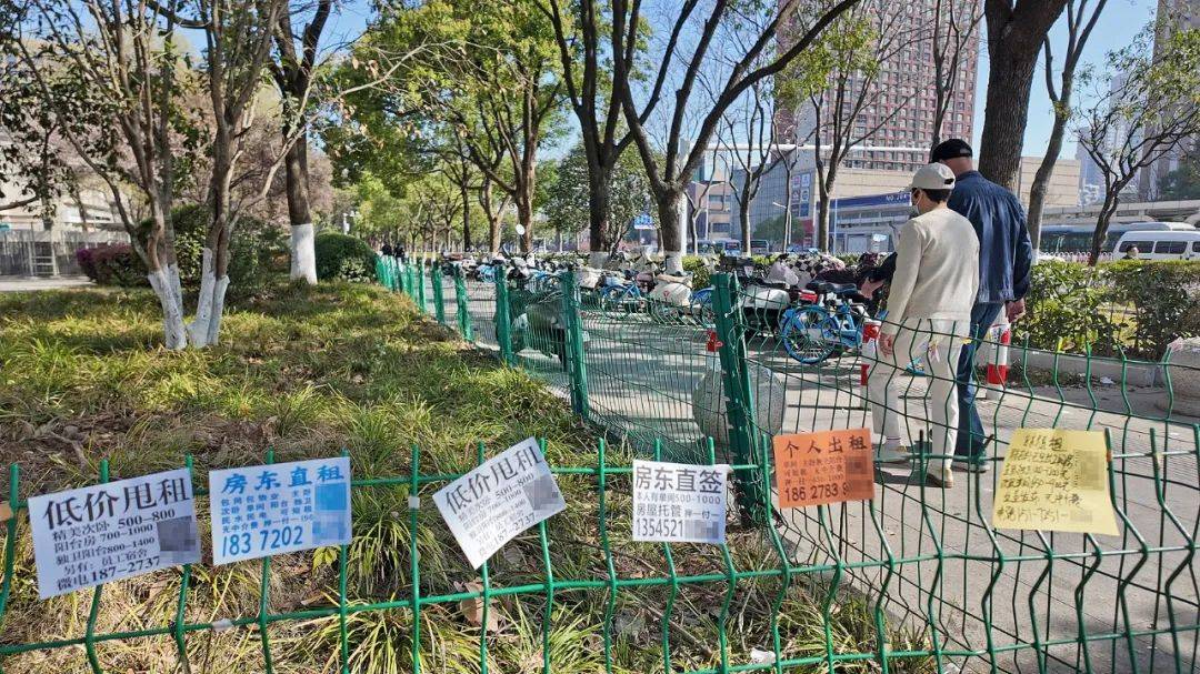 一二线城市房租普降<strong></p>
<p>理财与投资</strong>，房东主动降200留我