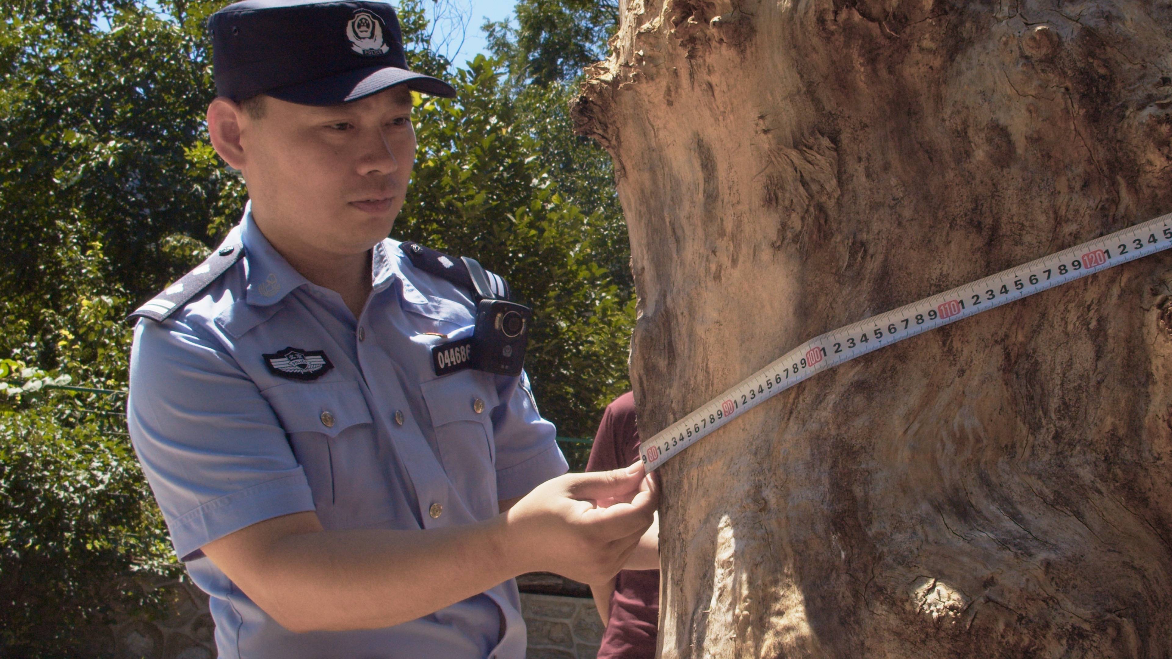 森林警察韩孟祺：乔装成驴友潜伏密林中<strong></p>
<p>理财所</strong>，抓获“粘鸟”嫌疑人