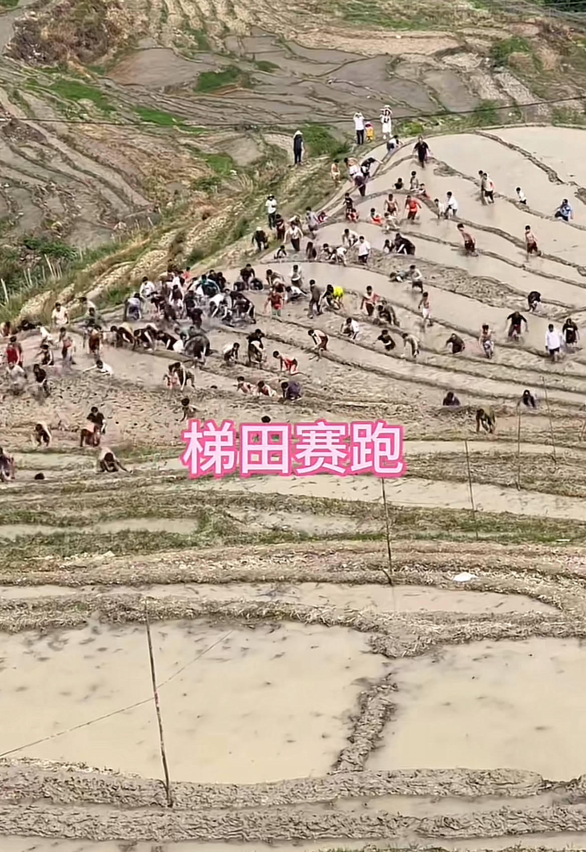 桂林一景区回应爬梯田比赛前两名半坡起跑作弊：游客赛前试爬后躺半坡<strong></p>
<p>理财金卡</strong>，工作人员没发现