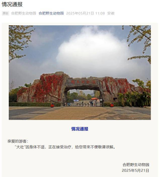 网红猴“大壮”突然离世<strong></p>
<p>靠谱的理财</strong>！曾因方脸“丑”出圈