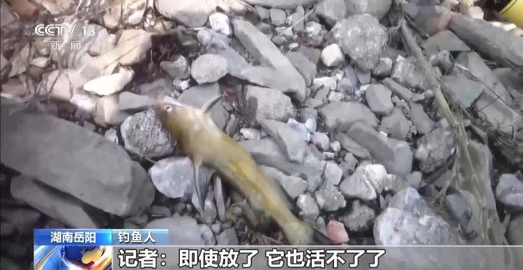保护区里的“疯狂垂钓”屡禁不止<strong></p>
<p>理财目标</strong>！记者调查