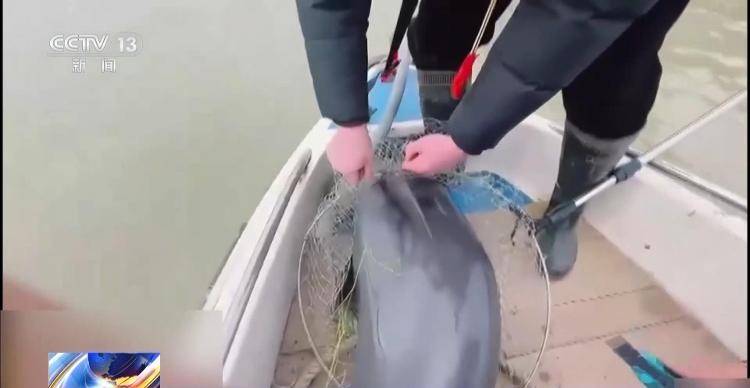 保护区里的“疯狂垂钓”屡禁不止<strong></p>
<p>理财目标</strong>！记者调查