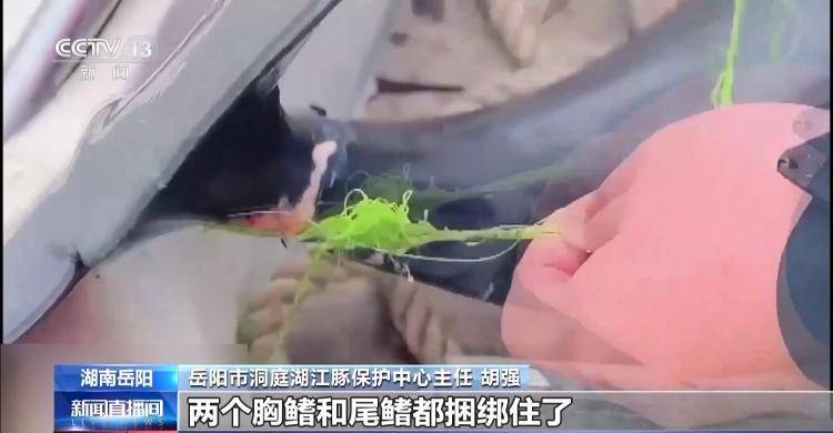 保护区里的“疯狂垂钓”屡禁不止<strong></p>
<p>理财目标</strong>！记者调查