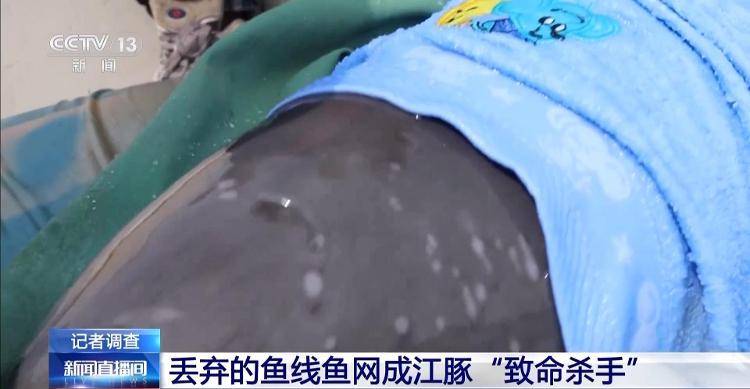 保护区里的“疯狂垂钓”屡禁不止<strong></p>
<p>理财目标</strong>！记者调查