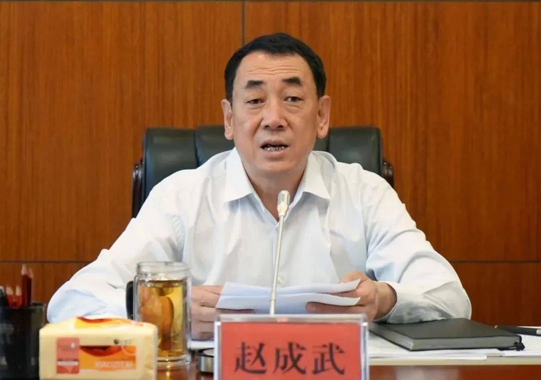 中央提级巡视时<strong></p>
<p>理财目标</strong>，赵成武被查