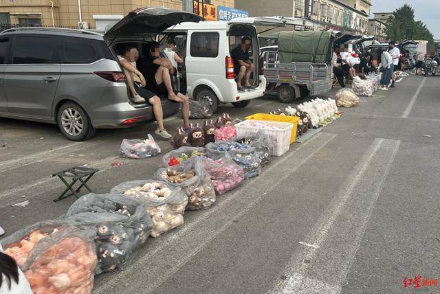 实探衡水盗版LABUBU大集：像卖菜一样摆摊卖<strong></p>
<p>网站理财</strong>，商家称如今订单变少生意难做
