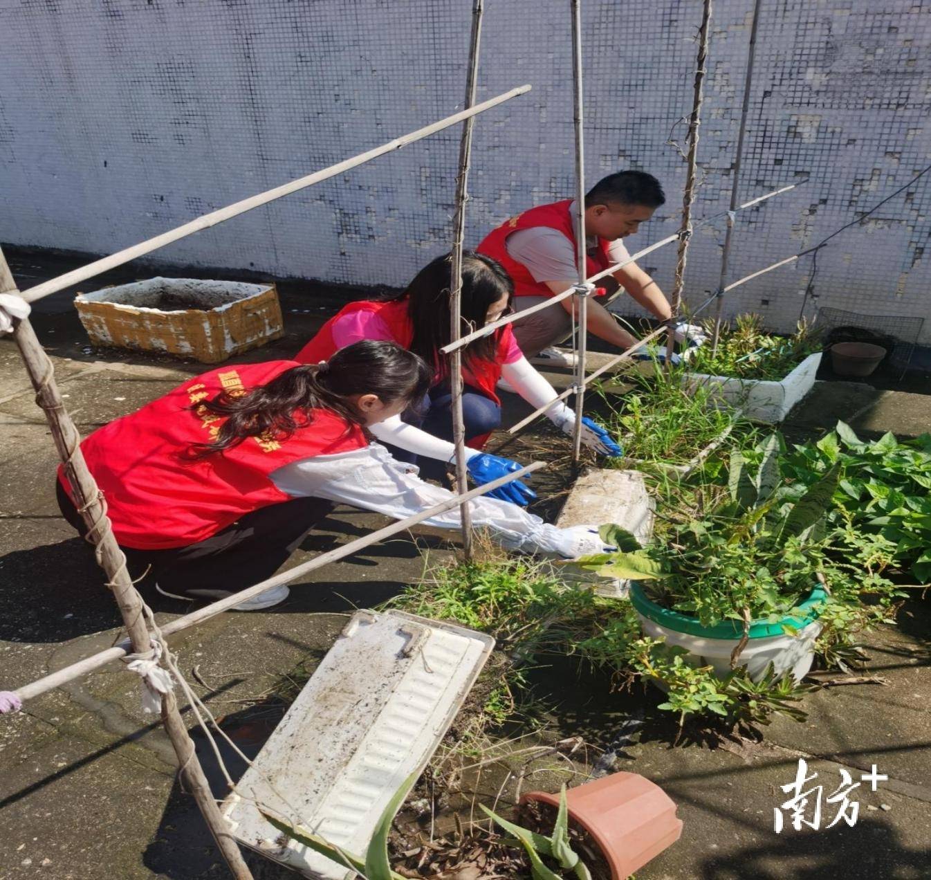 顺德超3300名党员干部下沉一线<strong></p>
<p>银行理财业务</strong>，党群联动打响蚊媒防控歼灭战